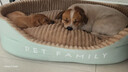 华元宠具（hoopet）狗窝四季通用狗狗床中大型犬睡觉可拆洗宠物睡垫子秋冬季保暖猫窝 实拍图