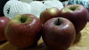 2025正宗云南昭通冰糖心丑苹果新鲜水果苹果当季脆甜水果产地直发 3斤装大果（80-90mm） 实拍图