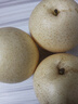 京喜加河北皇冠梨蜜梨冰糖梨脆甜远达新10 河北皇冠梨带箱2斤装 实拍图