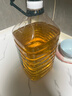 西王 食用油 玉米胚芽油6.18L 非转基因物理压榨 热门商品 实拍图