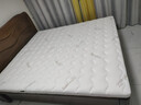 法瑞思S型黄麻天然椰棕床垫子纯硬护脊棕榈垫薄母婴儿童a类乳胶厚可拆洗 B款8CM厚=5CM S型黄麻+防螨面料 1.8米*2米 实拍图