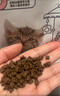 诚实一口K01 PLUS幼猫全价零肉粉猫粮试吃装试用40g 实拍图