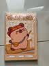 舒星A5卡皮巴拉100页家庭作业登记本小学初中作业记录本小学生抄写本记事本错题本打卡本开学必备4本装 实拍图