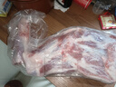 海底捞内蒙羔羊带骨前腿3斤 原切整只羊前腿 骨头已锯 炖煮烧烤羊国产 实拍图
