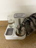 甜浪海自动喂食器猫碗猫咪饮水机狗狗吃饭喝水大容量投食器宠物粮食盆 实拍图