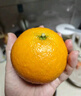 京鲜生 四川爱媛38号果冻橙 5斤装 单果150g起 生鲜柑橘桔子水果礼盒 实拍图