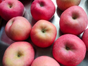 京鲜生 烟台红富士苹果 净重5斤  单果190g起 水果礼盒 实拍图
