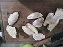 上鲜 鸡翅中 净重2斤 单个40-50g大翅中 出口级 鸡翅膀烤鸡翅鸡肉 实拍图