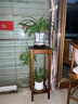 丝竹阁实木花架子置物室内落地式客厅吊兰多层阳台简易绿萝中式盆景摆件 70常规款【祥云雕刻×加厚型】 实拍图