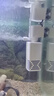 亚峰（yafeng）鱼缸过滤器三合一净水循环泵鱼缸内置过滤器过滤水泵小型增氧设备 15W 五合一 （30-40CM缸用） 实拍图