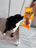 HELLOJOY狗狗零食磨牙棒比熊泰迪中小型犬磨牙洁齿 鸡肉绕奶酪100g 实拍图
