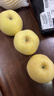 甜萌果蔬山东维纳斯苹果黄金好吃新鲜苹果平安夜水果礼盒圣诞节送礼 9斤12A甄选装【单果约90-100mm】净8.5 实拍图