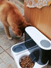 京川旭猫咪自动喂食器喂水一体机智能定时喂食器不锈钢猫碗喝水吃饭一体 灰色豪华-插电活水循环+不锈钢碗 循环活水丨自动喂食丨食品级材质 全身可拆洗丨双重过滤丨密封设计 实拍图