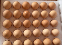 京鲜生可生食标准鲜鸡蛋30枚礼盒装3斤 源头直发 实拍图