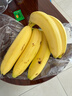 黄胖子进口香蕉650g 实拍图