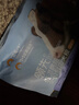 领先全价低温烘焙犬粮小型犬成幼犬柯基金毛蓝莓牛肉狗粮1.5kg*4 实拍图