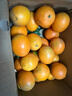 粤迎赣南脐橙橙子正宗精品当季新鲜水果手剥橙子原产地直发香甜好 10斤优选【香甜多汁】净9斤 实拍图
