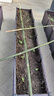 德沃多阳台楼顶种菜箱蔬菜种植箱神器种菜盆单排加深4联160*40*38加厚款 实拍图