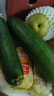 水果黄瓜无刺减肥好搭配可即食生鲜蔬菜 【尝鲜】 1斤 实拍图