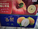橙小士阿克苏冰糖心苹果【顺丰】正宗新疆脆甜丑苹果新鲜水果年货礼盒 10斤优选中果带箱净果9斤 新鲜 实拍图