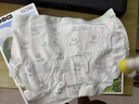 蕉内宠物主题301C少女内裤女士莫代尔印花学生中腰10A抗菌透气三角3件 实拍图