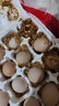 忆乡岭鸡蛋 散养谷物蛋 农家山林喂养 初生鲜土鸡蛋 20枚800g 实拍图