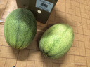 京鲜生 海南哈密瓜 西州蜜/西周蜜 1粒装 单果2.5斤起 生鲜水果 实拍图