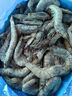 百年渔港海捕对虾超大盐冻只只分离白虾  30-40规格 净虾重4斤 60-80只 实拍图