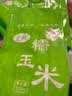 旷古农业广西忻城珍珠白糯玉米粒脱皮玉米头粥 碎碴子糁煲粥杂粮煮粥 3斤 脱皮大颗粒 煮粥煮糖水 实拍图