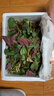 辰实【顺丰/JD快递】鱼腥草新鲜 折耳根叶子 侧耳根节节根蔬菜现挖发 3斤四川鱼腥草嫩叶 实拍图