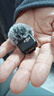 大疆 DJI Mic Mini 发射器（云感白）无线降噪纽扣式领夹麦克风户外采访直播vlog收音麦 实拍图