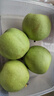 京地达梨砀山翠玉梨翠冠香梨新鲜水果净重8.8斤单果250g+源头直发包邮 实拍图