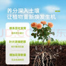 史丹利植物促生剂营养液通用型花肥养花肥料再生浓缩花卉绿植专用108ml 实拍图
