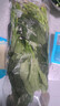 大菠菜300g 实拍图