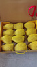 佳沛（zespri）新西兰 阳光金奇异果12粒礼盒特大果单果约122-146g 猕猴桃 水果 实拍图