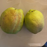 京鲜生 新疆库尔勒香梨 净重10斤 特级 单果120g以上 生鲜水果 实拍图