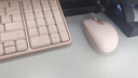 罗技（Logitech）MK251无线蓝牙键盘鼠标套装 办公商务笔记本电脑 数字键盘99键粉色键鼠套装（K251键盘+M196鼠标） 实拍图