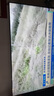 海信电视D30QD 50英寸 高清画质 低蓝光无屏闪 一级能效 节能省电 2*12W大功率音响 实拍图