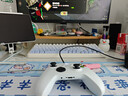 微软（Microsoft）Xbox无线游戏手柄 无线控制器 冰雪白 蓝牙适配Xbox/PC/平板/手机 Steam促销黑神话悟空 丝之歌 实拍图