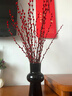 九月生银柳真花30支年宵花干花礼盒新年装饰摆件鲜切室内花卉60cm不含瓶 实拍图