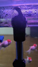 创星鱼缸加热棒电加热器自动恒温水族箱小型乌龟缸加温棒HCH 【自动恒温】适50-150L内蓝头HCH-300W 实拍图