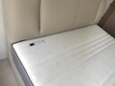 芝华仕（CHEERS）乳胶床垫独立弹簧软硬两用卧室席梦思护脊款升级版D026明星垫1.8m 实拍图