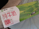 蒙牛【新鲜日期】全脂纯牛奶200ml*24盒 家庭送礼盒装 电商定制 实拍图
