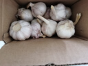 【营田半亩】蒜干蒜头蒜大蒜紫白皮大蒜当季蔬菜0.5-5斤 1斤带箱重【果径3.5-4.5cm】中果 实拍图