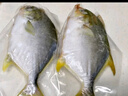 翔泰海南深海金鲳鱼700g 2条 火锅 生鲜鱼类 BAP认证 海鲜水产  实拍图