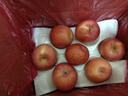 佳农 烟台红富士苹果 净重10斤 特级果 单果240g+ 生鲜水果礼盒 实拍图
