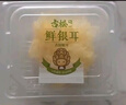 古松 新鲜银耳6朵 独立盒装顺丰快递产地直发新鲜菌菇雪耳白木耳 鲜银耳6朵100g*6盒 实拍图