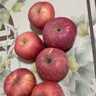 京鲜生 烟台红富士苹果 净重5斤  单果190g起 水果礼盒 实拍图