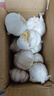 紫白皮蒜水果大蒜超市即食生鲜蔬菜大蒜 特价带箱 1斤 单果3.5-5cm 实拍图