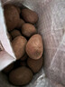 【真便宜】红皮土豆高原黄心土豆马铃薯红皮黄心洋芋 蔬菜水果 红皮土豆 4斤 单果1-3两 实拍图